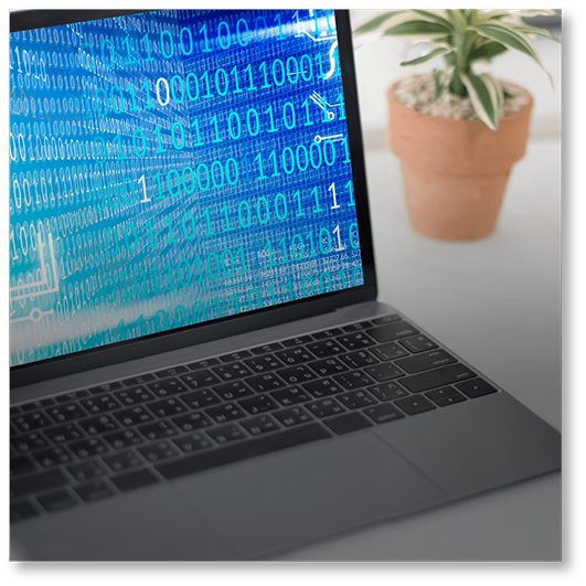 NEXTEP事業内容-全般